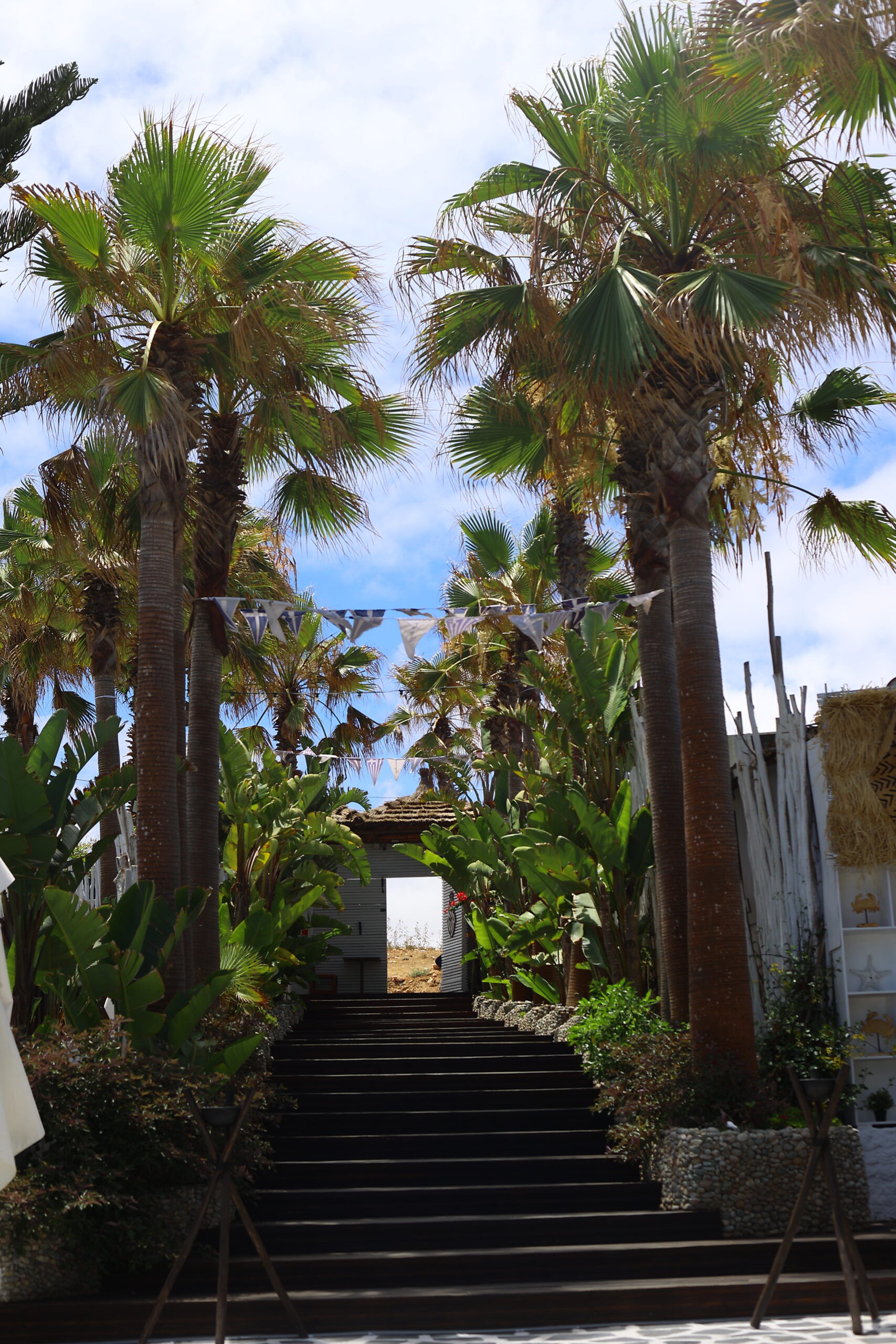 scarabay_105